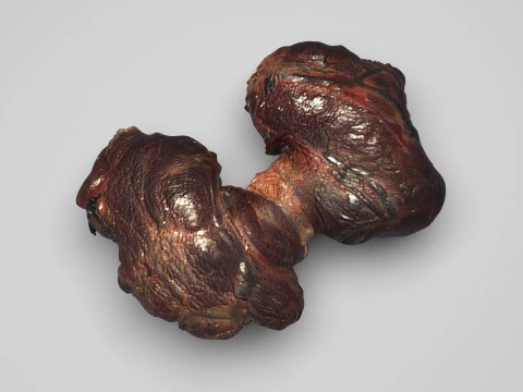 Kelenjar Tiroid Model 3D
