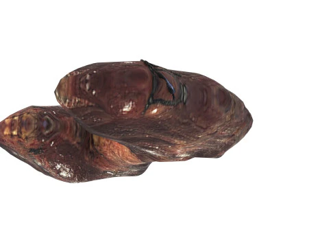 Kelenjar Tiroid Model 3D