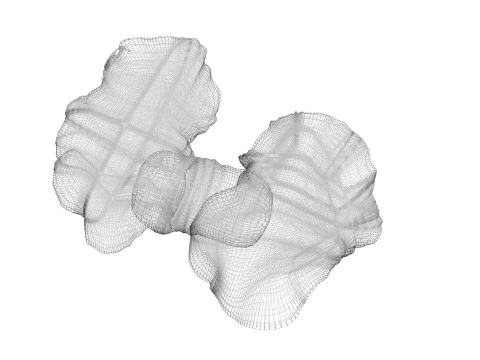 Kelenjar Tiroid Model 3D
