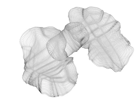 Kelenjar Tiroid Model 3D