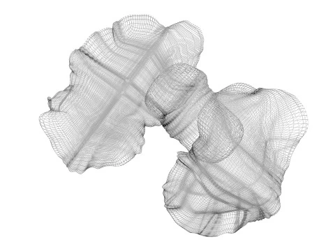 Kelenjar Tiroid Model 3D