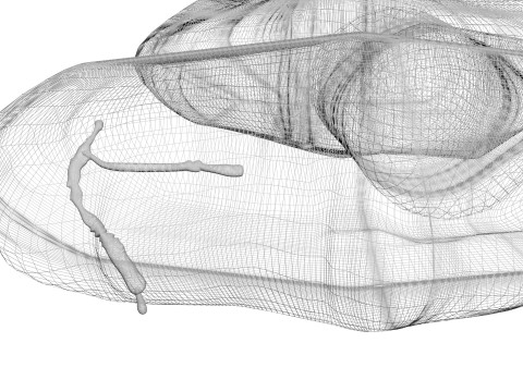 Thyroid Gland Model 3D