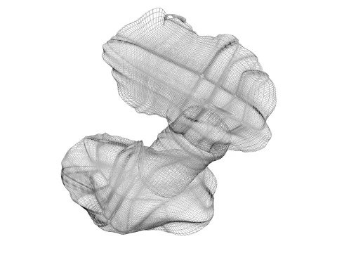Kelenjar Tiroid Model 3D