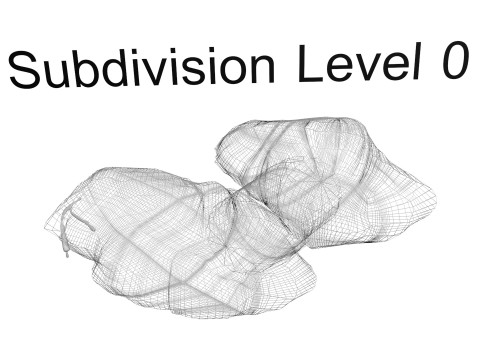 Thyroid Gland Model 3D