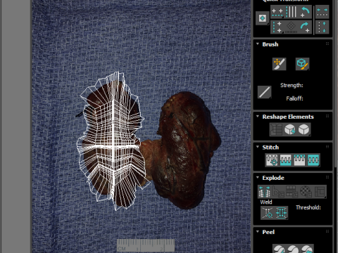 Thyroid Gland Model 3D