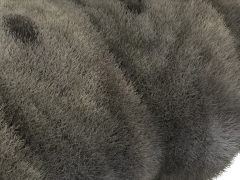 Silkworm With Cocoon Modèle 3D