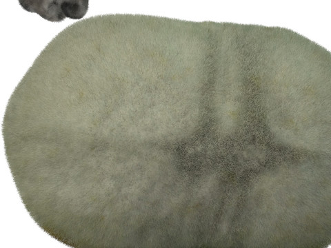 Silkworm With Cocoon Modèle 3D