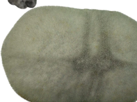 Ver &agrave; soie avec cocon Modèle 3D