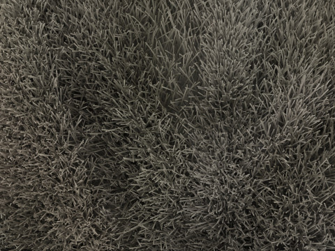Silkworm With Cocoon Modèle 3D