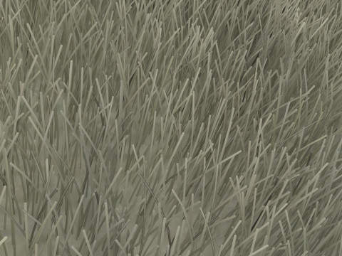 Silkworm With Cocoon Modèle 3D