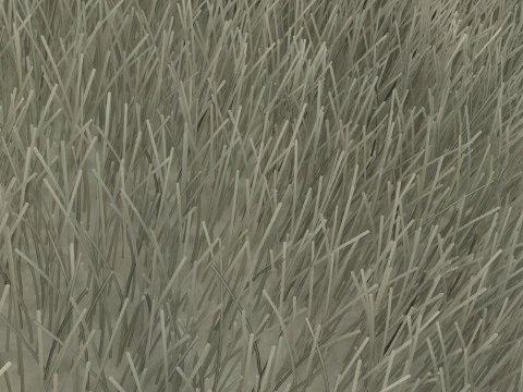 Ver &agrave; soie avec cocon Modèle 3D