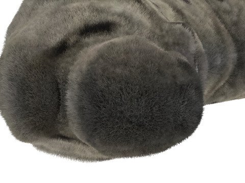 Silkworm With Cocoon Modèle 3D