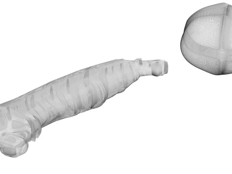 Silkworm With Cocoon Modèle 3D
