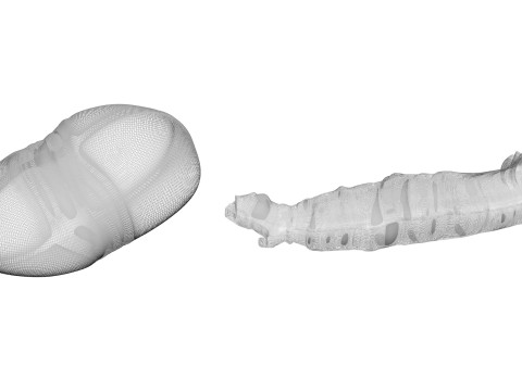 Silkworm With Cocoon Modèle 3D