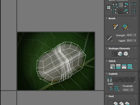 Ver &agrave; soie avec cocon Modèle 3D