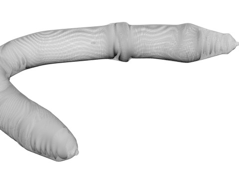 Earthworm 3D Модель