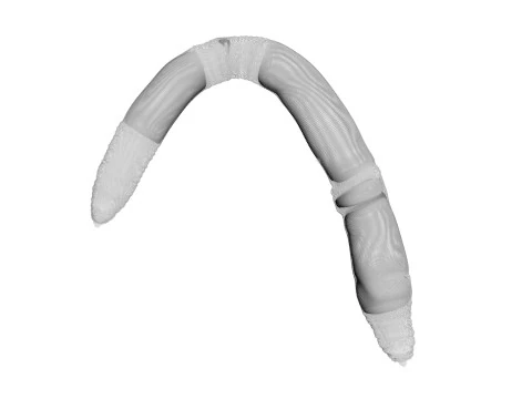 지렁이 3D 모델