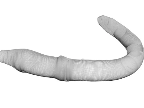 지렁이 3D 모델