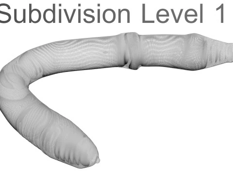 지렁이 3D 모델