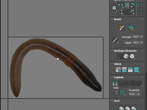 지렁이 3D 모델