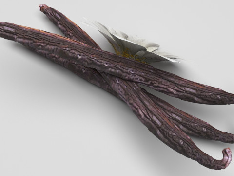Vanilla 3D 모델