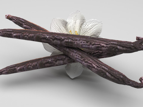 Vanilla 3D 모델