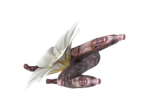 バニラ 3Dモデル