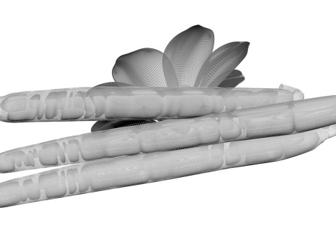 Vanilla 3D 모델