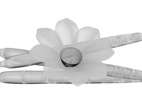 バニラ 3Dモデル