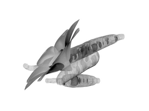 バニラ 3Dモデル