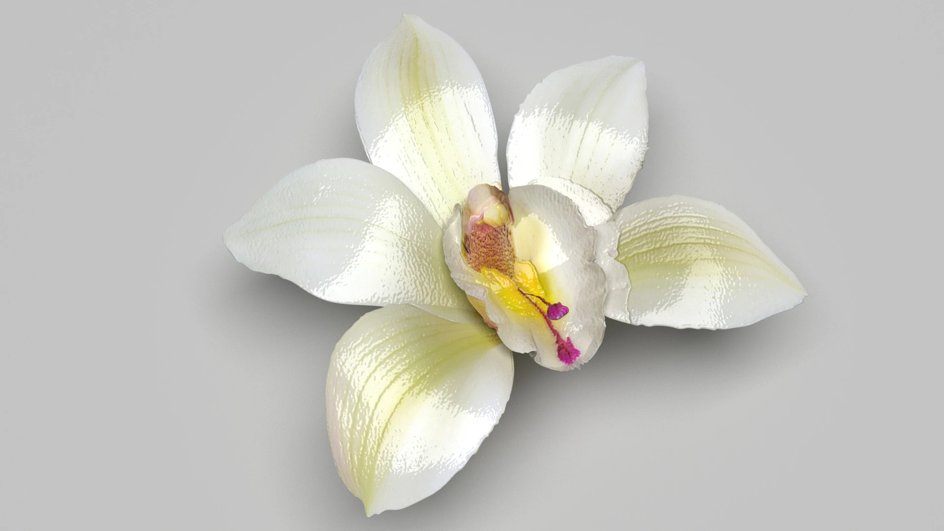 Vanilla Flower 3D Model .c4d .max .obj .3ds .fbx .stl .blend