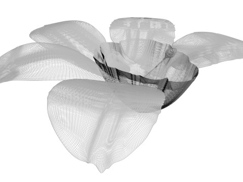 Vanilla Flower 3D Model