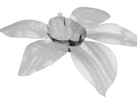 Vanilla Flower 3D Model