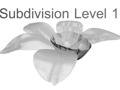 Vanilla Flower 3D Model