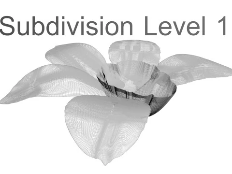 Vanilla Flower 3D Model