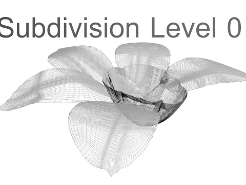 Vanilla Flower 3D Model