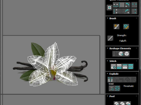 Vanilla Flower 3D Model