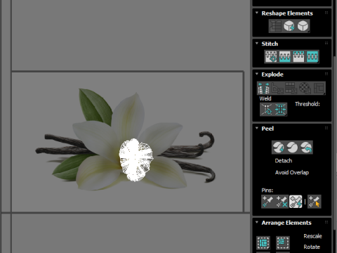 Vanilla Flower 3D Model