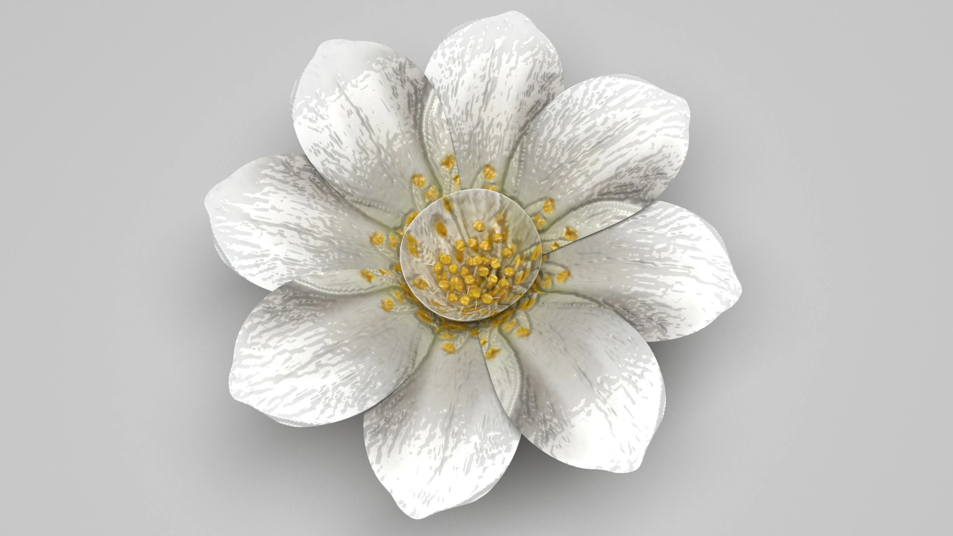 Vanilla Flower 3D Model .c4d .max .obj .3ds .fbx .stl .blend