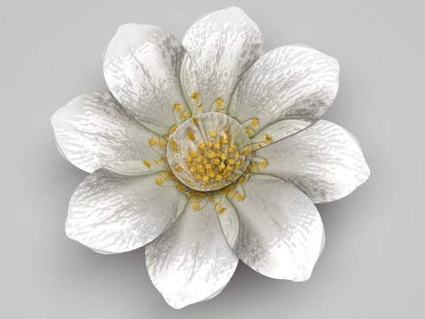 Vanilla Flower 3D Model
