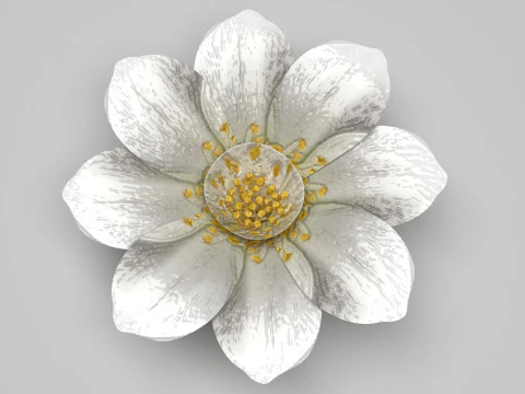 Vanilla Flower 3D Model