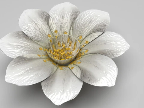 Vanilla Flower 3D Model