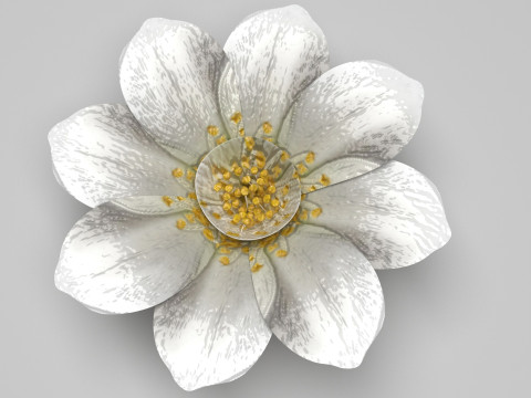 Vanilla Flower Modelo 3D