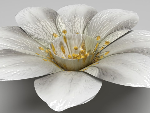 Vanilla Flower Modelo 3D