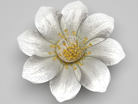 Vanilla Flower Modelo 3D