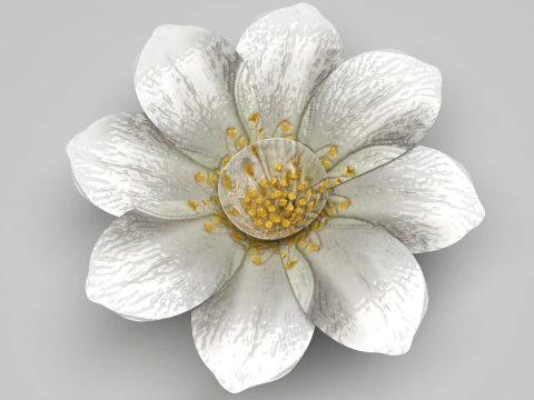 Vanilla Flower 3D Model