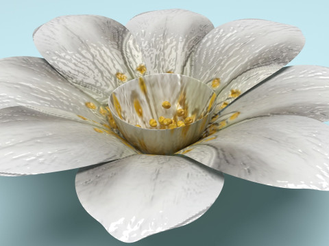 Vanilla Flower Modelo 3D
