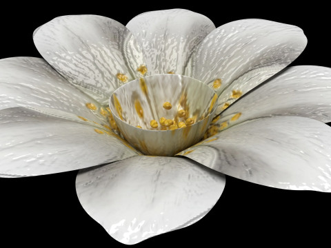 Vanilla Flower Modelo 3D
