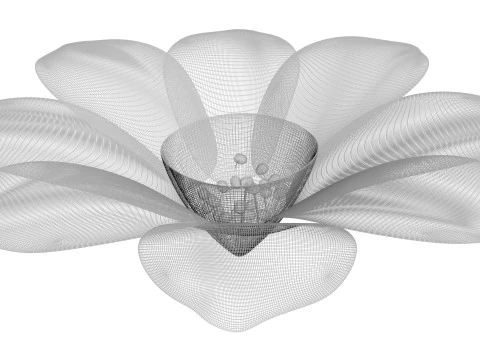 Vanilla Flower 3D Model