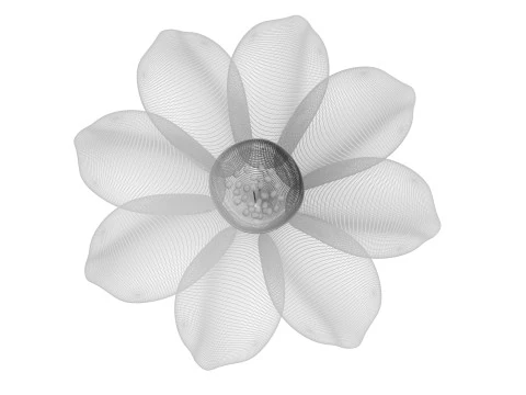 Vanilla Flower 3D Model